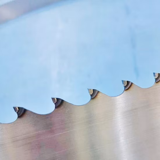 Corte de madeira com lâmina de serra de fita com ponta de carboneto de madeira Tct